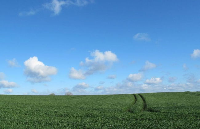 Liefde Voor de Schlei - Photo 12