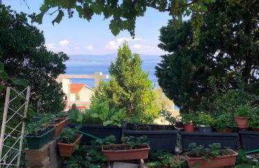 Apartments with beautifull view Peace and quiet - Foto 22