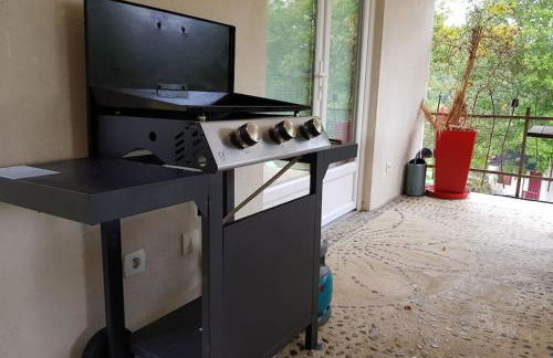 Villa forest home avec piscine dans les gorges du verdon en Provence - Foto 6