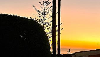 Stone Villa - Foto 5