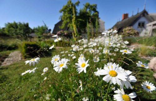 Ferienwohnungen im Fischerdorf und - Foto 8