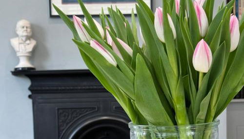 Glenesk No 1 , Woodhall Spa - Foto 4