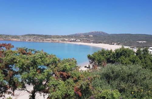 LA MISUAGLIA APPARTAMENTO n302 - Foto 18