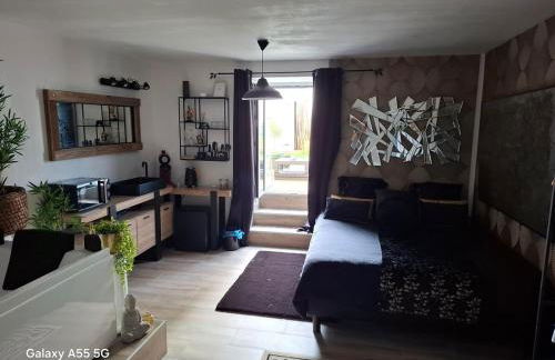 Suite deluxe avec jacuzzi et jardin à 2 min de la plage - Foto 16