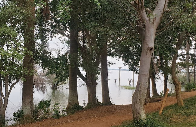 Dream Day Cottages - Photo 10