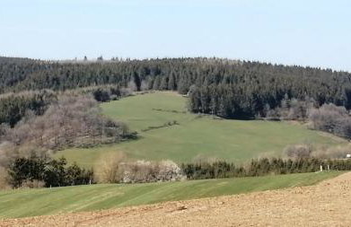 Ferienhaus ROSENHOF Vulkaneifel - Foto 33