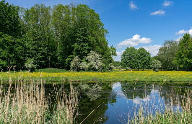 Chalet With Garden and Parking - Foto 16