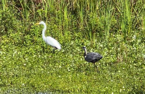 Lakeside retreat - 3 Bedroom, 2 Bathroom house by the lake - Foto 33