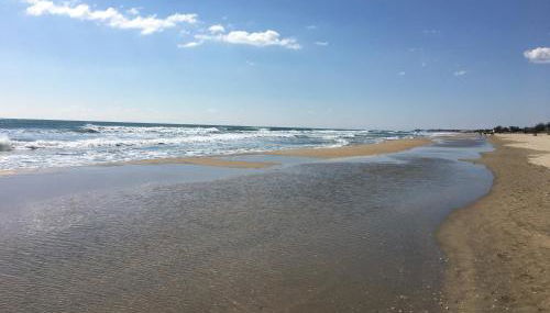 Port rive gauche Oyat - Photo 2