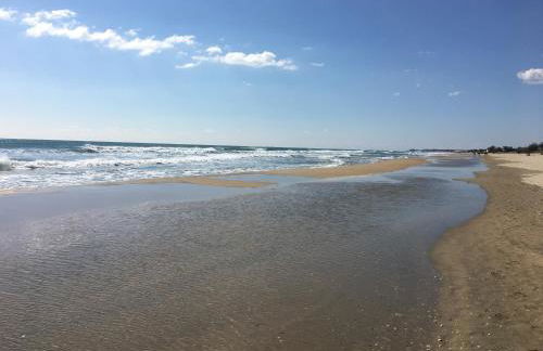 Port rive gauche Oyat - Photo 2