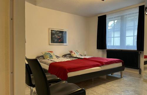 Excl Ferienwohnung im Dreiländereck D-F-CH mit beheiztem kl Pool zum Schwimmen und Massieren - Foto 40