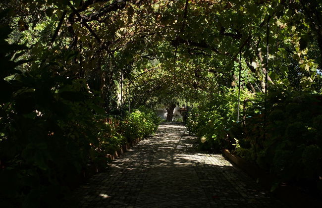 Casa dos Arrábidos - Foto 78