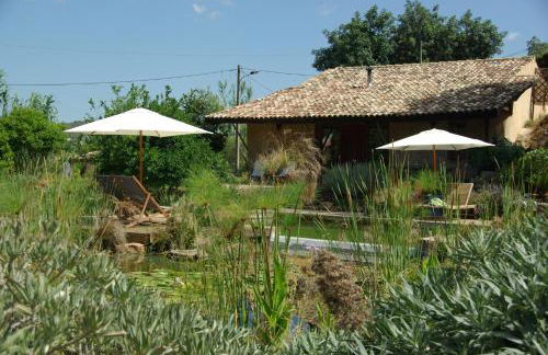 Quinta do Arade - casa 4 pétalas - Foto 21