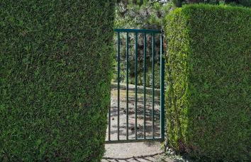 2 Soundproof Fully Equipped Studios near Geneva Airport - Photo 33