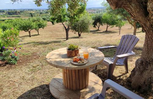 il borghetto in valle d'itria - Foto 13