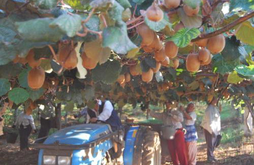 Agriturismo Torre Cristina - Foto 40