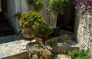 APIJA Studio - Foto 23