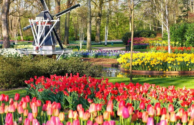 Holiday Home Noordwijkerhout by Beach - Foto 24