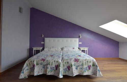 Tradición Rural 2 El Tío Ricardo - Foto 7