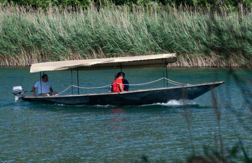 Apartmani Portina - Foto 35