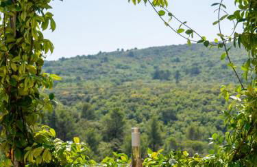 Location Bonnieux Provence - Foto 20