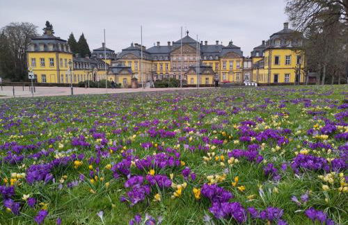 Ruhige Ferienwohnung „Südhang“ direkt am Wald - Foto 24