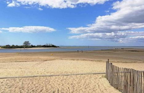 La Coccinelle - Foto 16