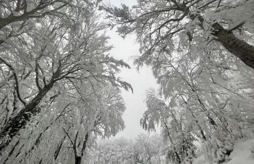 Maison de village, Route des lacs - Foto 51