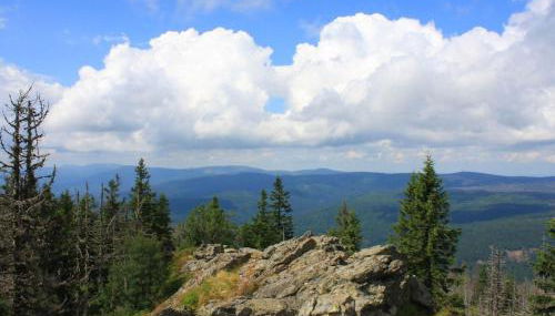 Ferienwohnung Jobst Daxstein - Foto 3