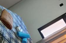 Apartamento Piratuba - Photo 21
