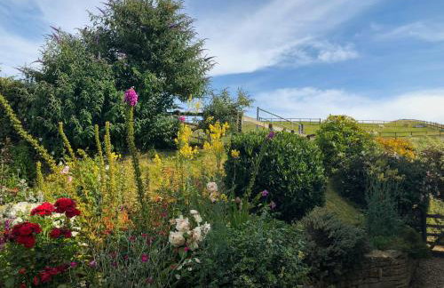 Idyllic Dorset Cottage Surrounded by Fields in the Heart of the Countryside - sleeps 7 - Foto 20