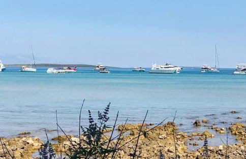 Rose house - Foto 33