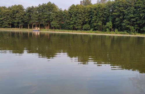 Leśna Kryjówka domki w lesie - Foto 41