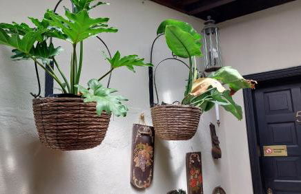 Aptos Monasterio de San Antonio 5 - Foto 11