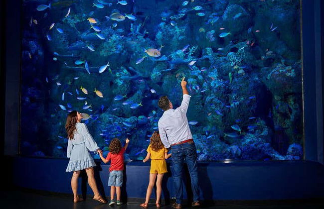 Entrada al Acuario de Cairns - Foto 11