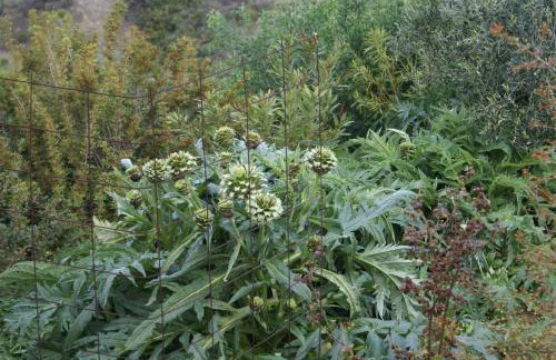 O Ioannis - Photo 33