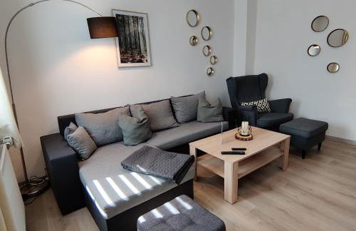 FaFeWo Ferienwohnungen mit Sternekomfort in Tanne Harz - Foto 11