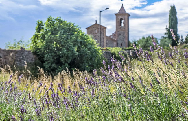 Bel Giardino - Foto 66