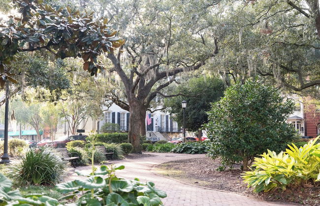 Kasa Jules Savannah - Foto 79