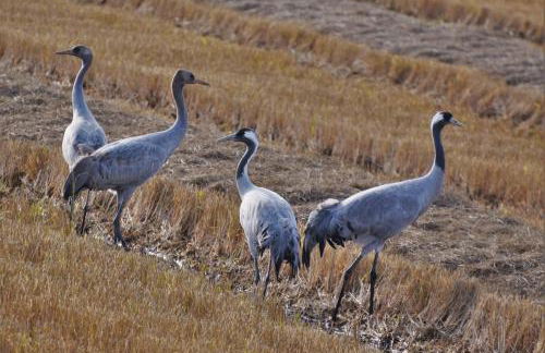 Hotel Casa Rural Don Álvaro de Luna - Foto 53