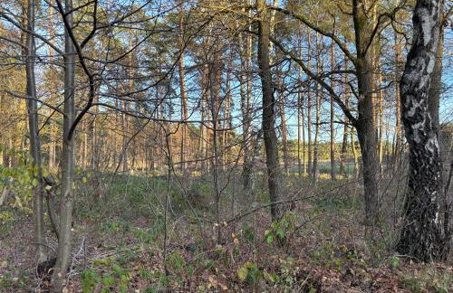 SMART Wald Apartment mit opt Buchung Wald SPA Sauna und Jacuzzi - Foto 27