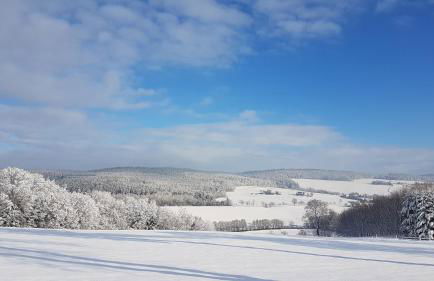 Ferienwohnung Flöhatalblick - Foto 39