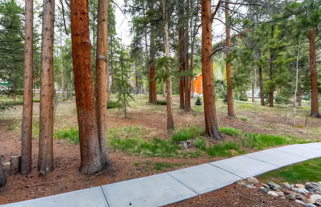 Forest Condominiums by Vail Resorts - Photo 52