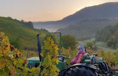 Maison Mellie - Foto 8