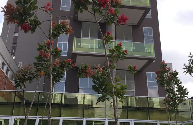 VN Turiassu Studio 805 - Foto 1