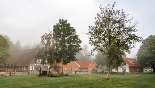 Gut Moorbeck - Foto 3, Garden