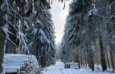 Ferienhaus mit Sauna, Wintergarten und Terrasse im schönen Hochtaunus - Foto 77