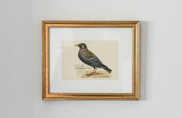 Perch Cottages #13 - Creek Access, Sauna, Mt views - Foto 18