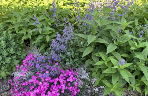 Carraig Mor Cottage - Beautiful House, Amazing Garden, Downtown Baileys Harbor - Foto 39