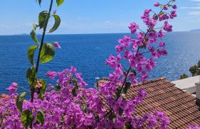 Paradies Apartments Prizba - Foto 20